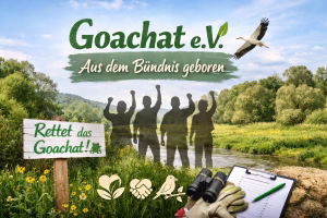 Mehr über den Artikel erfahren 🌿 Goachat e.V. – aus dem Bündnis geboren